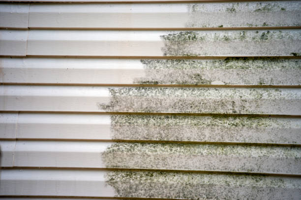 Best Yard Waste Removal  in Liberty, NC